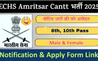 ECHS Amritsar Cantt Vacancy 2025 » Apply For Group C Posts Application Form