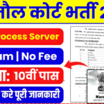 Narnaul District Court Recruitment 2025 Notification » Process Server Posts Application Form