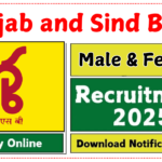 Punjab and Sind Bank Recruitment 2025 » Notification Out for 110 Post | Check Details