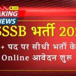 DSSSB Warder Recruitment 2025 Notification Out for 2100 Posts Apply Online 1 DSSSB Warder Recruitment 2025 Notification Out for 2100 Posts Apply Online